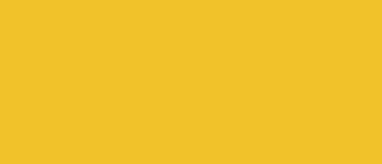 Peinture Multi-supports SAPHYR Alkyde jaune soleil Satiné 2,5 L