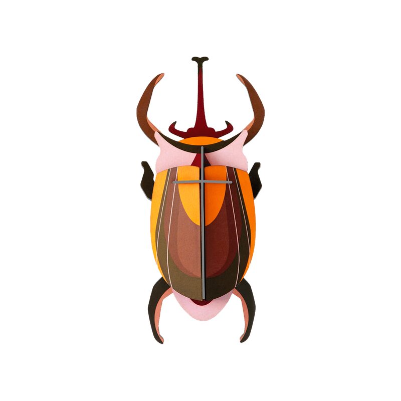 Le scarabée - Kit créatif pour enfant
